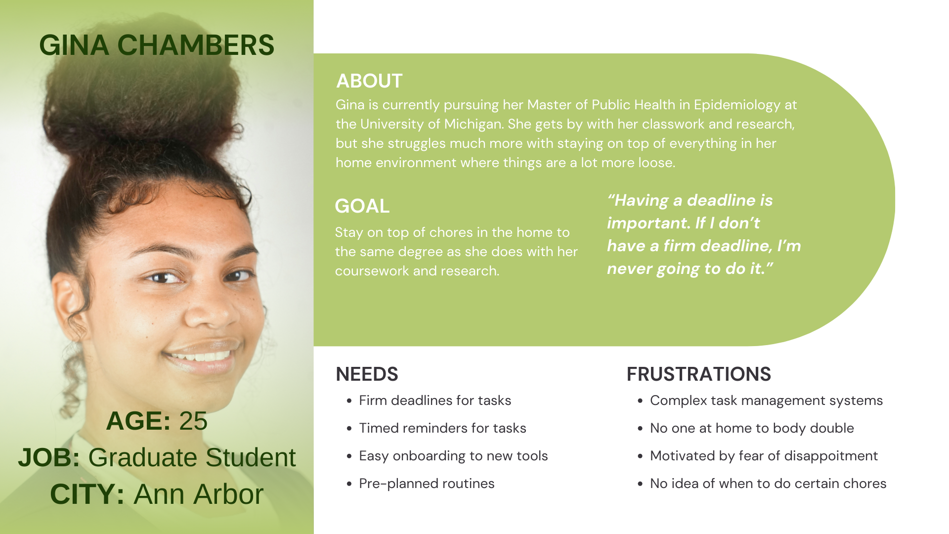 User Personas highlighting needs and pain points